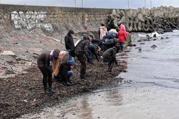 Łatwo pomylić z bursztynem. Na bałtyckich plażach czyha wielkie niebezpieczeństwo