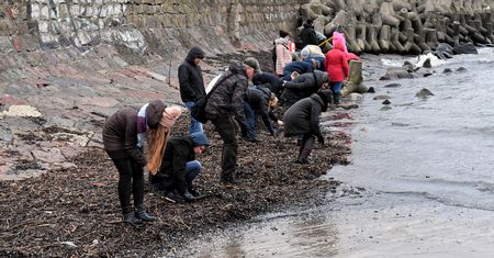 Łatwo pomylić z bursztynem. Na bałtyckich plażach czyha wielkie niebezpieczeństwo