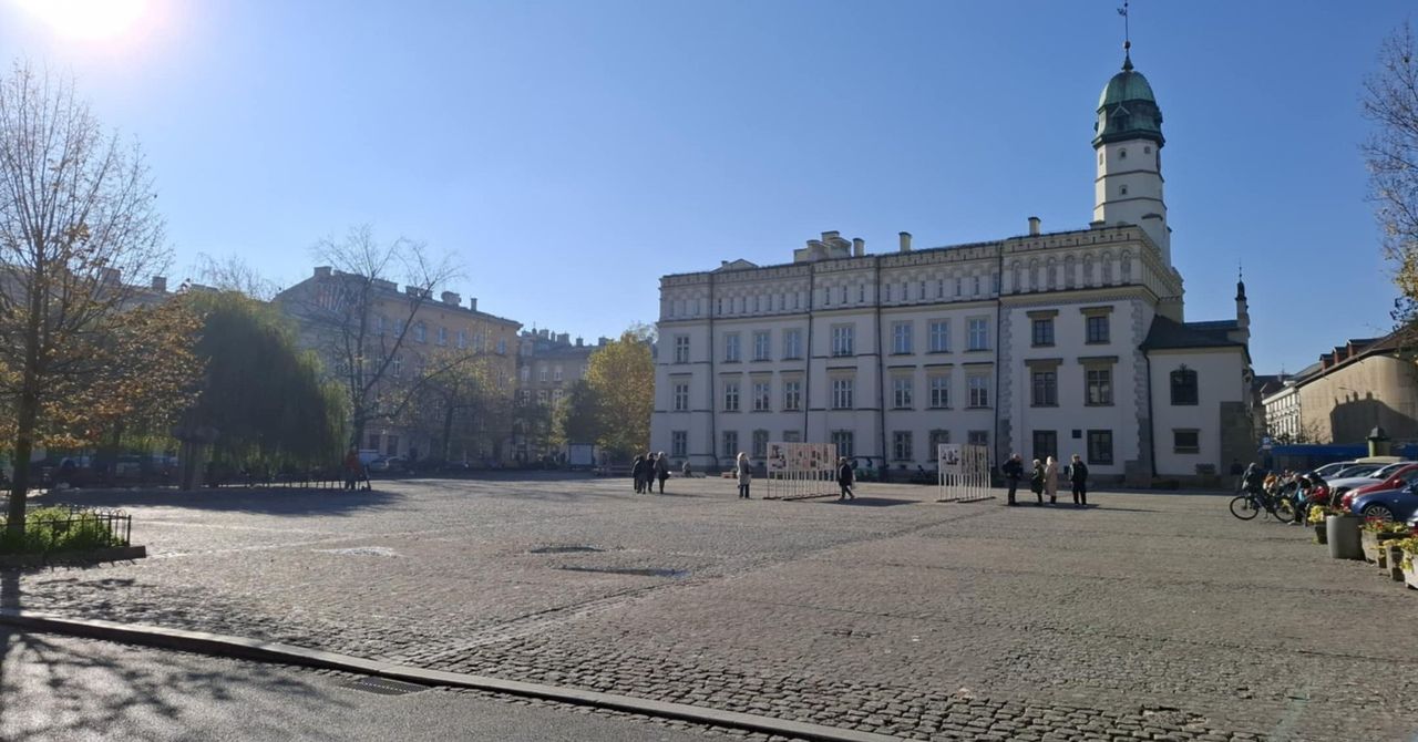 Kraków: Zazielenianie placu Wolnica. Drzewo, krzewy i tysiące kwiatów