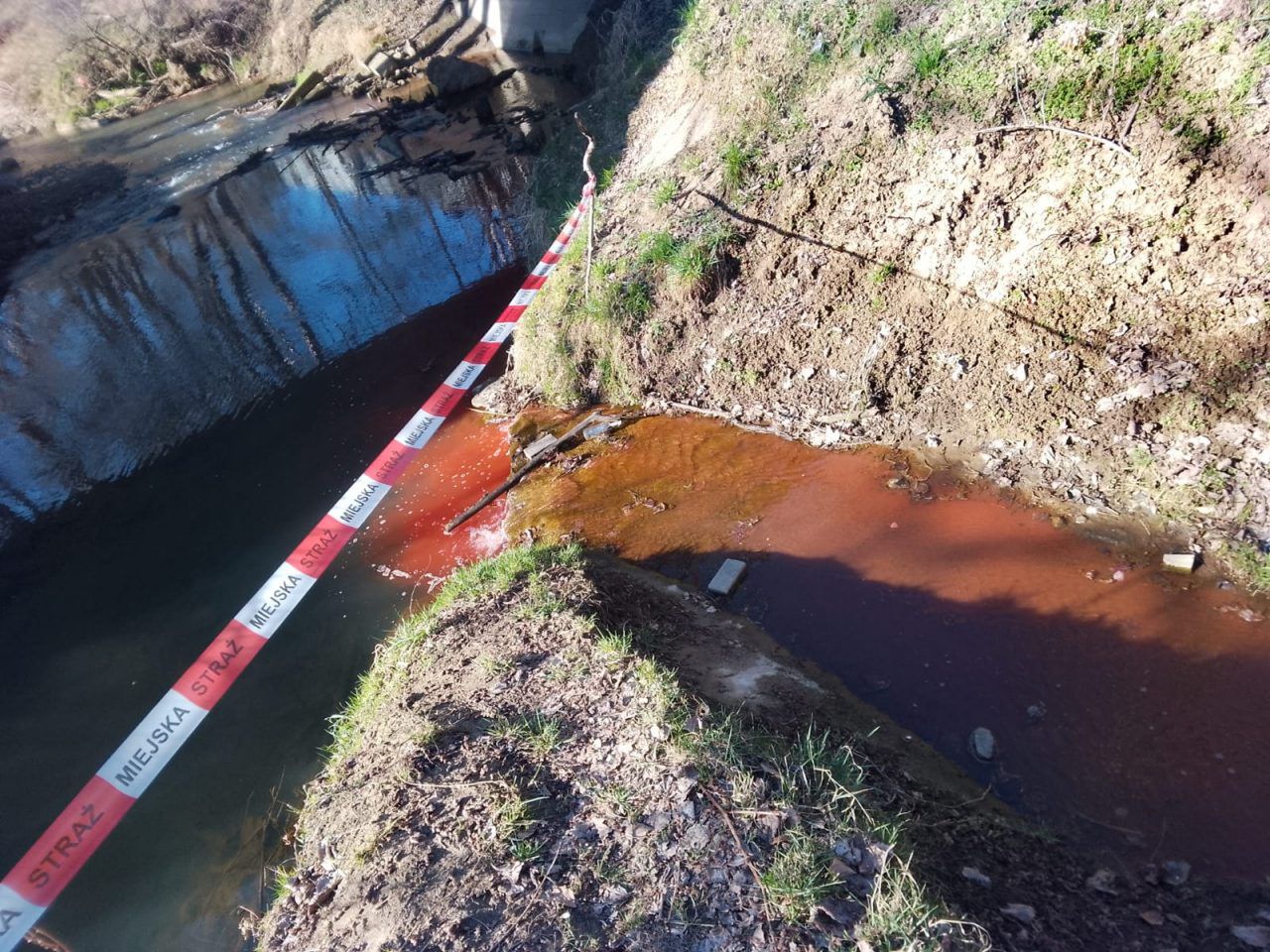 Tarnów: Tajemnicze zanieczyszczenie potoku Wątok. Trwają badania