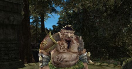 Lord ot the Rings: Online na 360?