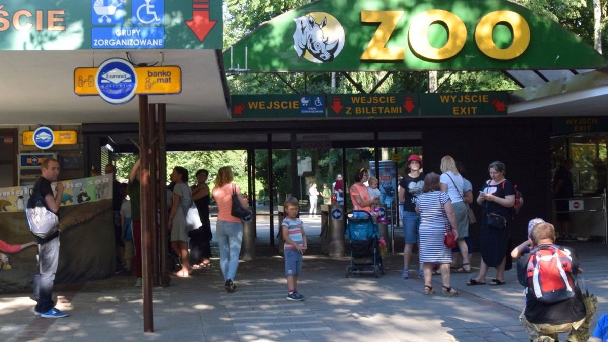 ZOO Poznań. Zdjęcie ilustracyjne. 