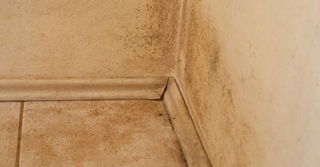 Kup w aptece za kilka złotych. Ściany będą jak nowe