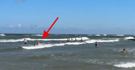 Bulwersujące sceny nad Bałtykiem. "Plażing wersja ekstremalna"