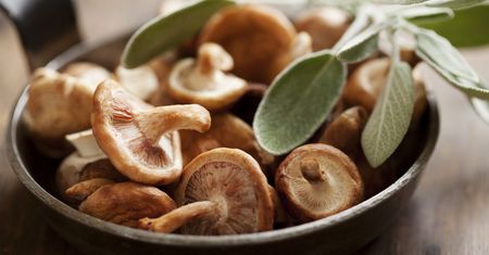 Smażone grzyby shiitake