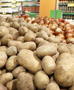 Cena ziemniaków bije rekordy. Tańsze nawet jabłka