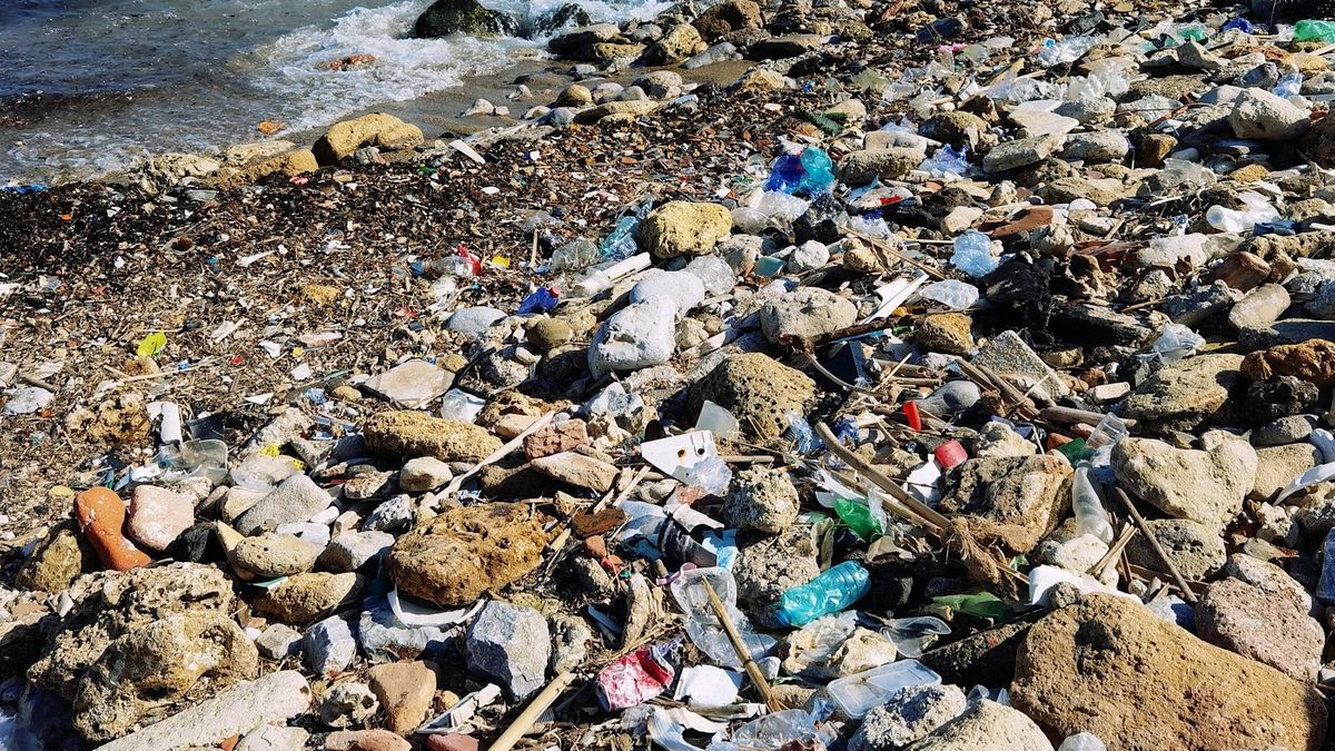 Kondycja środowiska naturalnego w Europie systematycznie się pogarsza