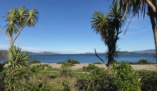 Makabryczne znalezisko w Nowej Zelandii. Kawałek zwłok na plaży