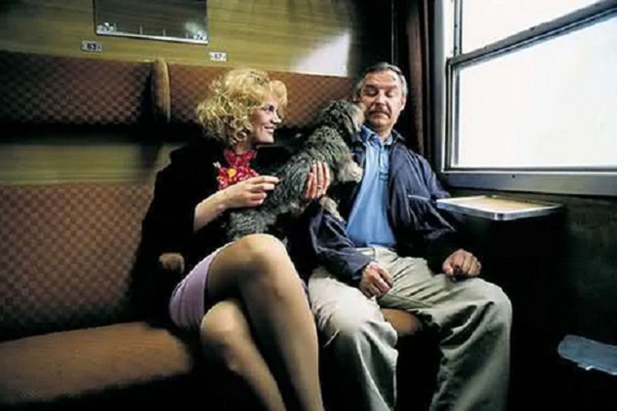 Rozpoznaj kultowe polskie komedie. Mistrz trafi 14 razy