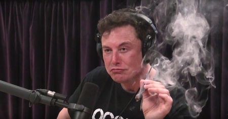Elon Musk zapalił marihuanę w programie na żywo