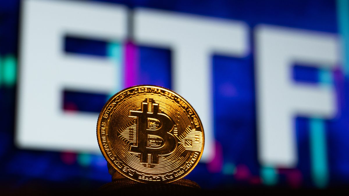 ANKARA, TURKIYE - JANUARY 07: In this photo illustration a 'Bitcoin' coin is displayed in front of a computer screen displaying 'EFT' in Ankara, Turkiye on January 07, 2024. (Photo by Omer Taha Cetin/Anadolu via Getty Images)