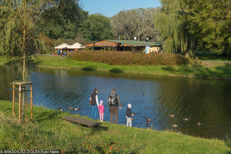 Każdemu pracownikowi przysługuje co najmniej 20 dni urlopu rocznie. To prawo i obowiązek jednocześnie