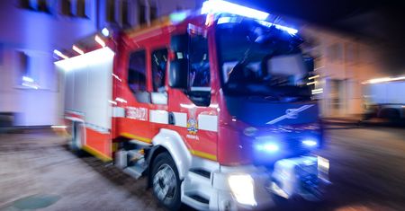 Wypadek na dk 91. Łoś wbiegł na auto
