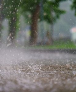 Pogoda. Wrocław. 9 lipca - dzień pod znakiem ulew. Słońce wróci w weekend