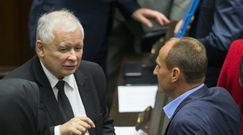 Kaczyński to "szczwany lis"? Paweł Kukiz odpowiedział wprost