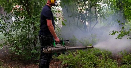 Rusza pierwsze w tym sezonie odkomarzanie Lublina. Wiemy, które miejsca zostaną odkomarzone
