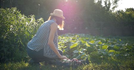 Organiczne jedzenie zmniejsza ryzyko raka
