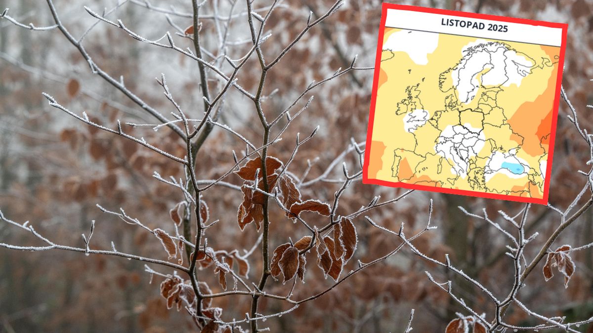 Jak będzie wyglądała pogoda w listopadzie?