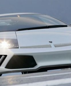 Byk na ostro, czyli Lamborghini LP640 według IMSA