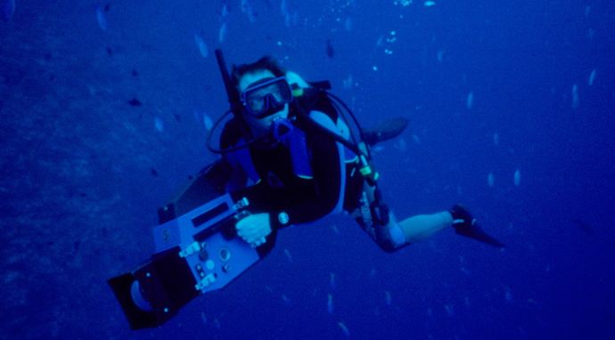 Najgroźniejsze meduzy świata