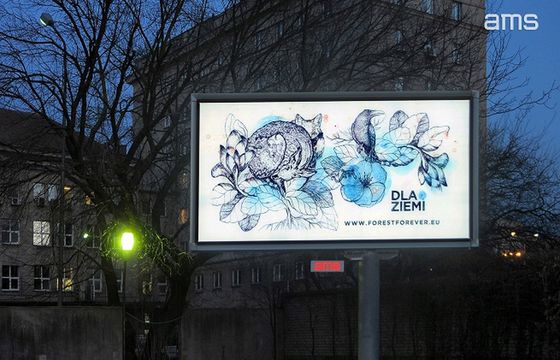 AMS redukuje ślad węglowy dzięki nowej ofercie EKO Backlight