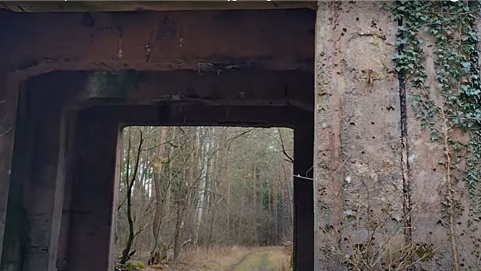 Brama wygląda intrygująco 