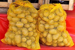 Niemcy wysłali ziemniaki do Polski. Zarobili ponad 130 mln zł