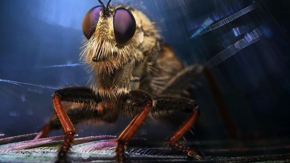 Ruszyła 9. edycja Wielkiego Konkursu Fotograficznego National Geographic Polska 1