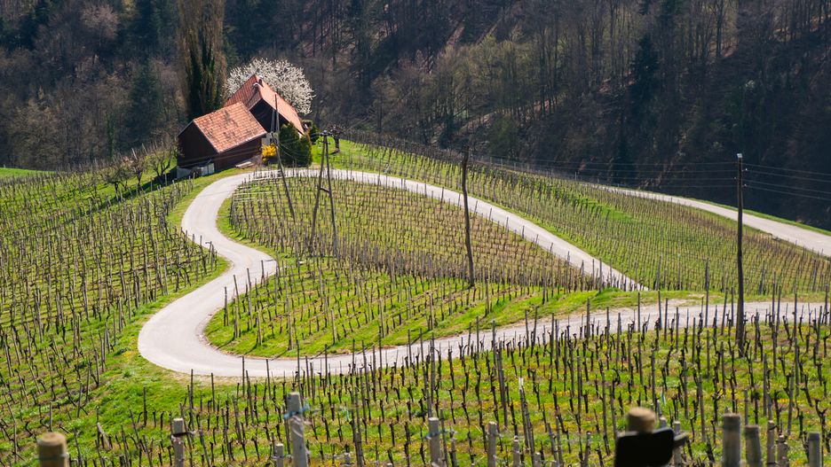 Widoki w okolicach Mariboru są... romantyczne