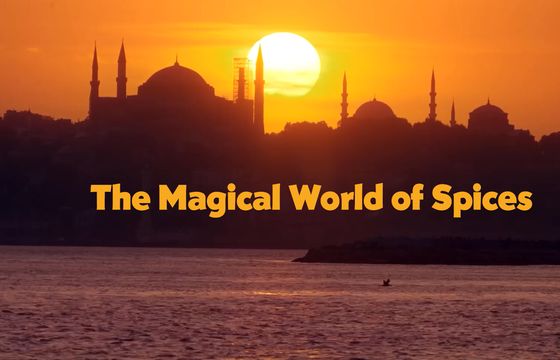 Produkcje na potrzeby Kabel Eins, Arte i ZDF trafią do stacji Canal+ Polska