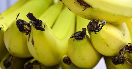Lepiej nie jeść bananów zimą. Powód jest zaskakujący