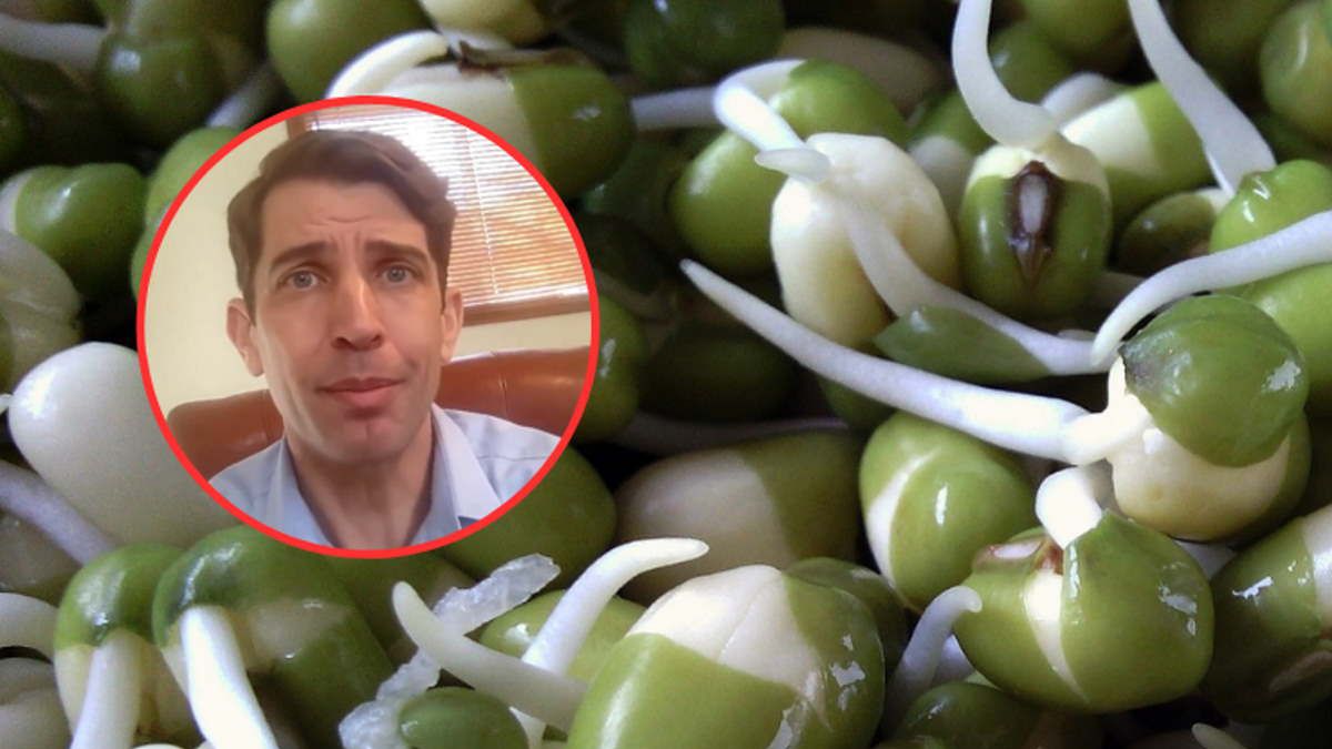 Psychiatra wskazuje siedem produktów, które zapewniają prawidłowe funkcjonowanie mózgu