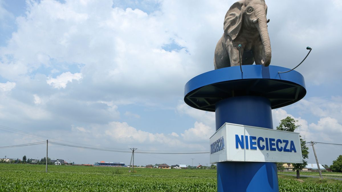 PAP / Stanisław Rozpędzik