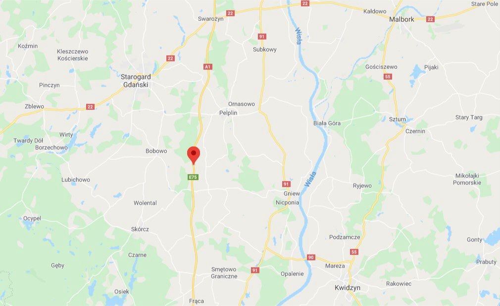 Wypadek na A1. Ranni po zderzeniu dwóch samochodów z łosiem