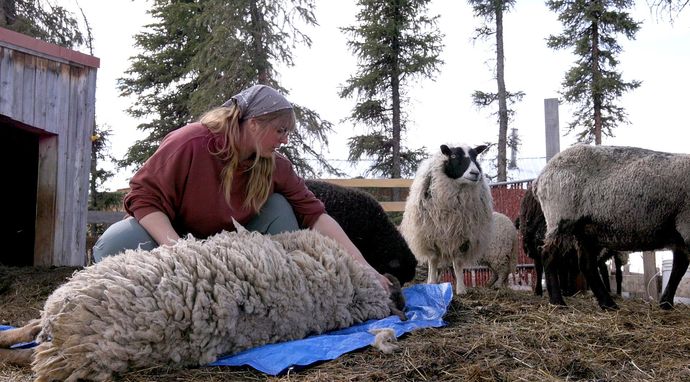 Alaska: Następne pokolenie