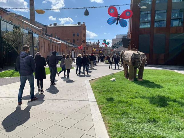 Warszawa. Festiwal Roślin w Koneserze