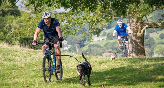 „Ja i mój pies: ostateczne wyzwanie” w Polsat Viasat Nature (wideo)