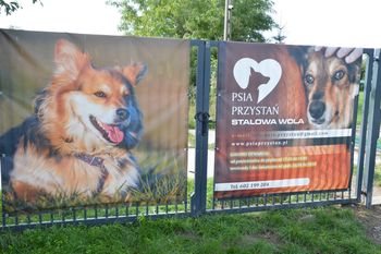 Stalowa Wola: Będzie nowe wyposażenie dla powstającego schroniska dla zwierząt