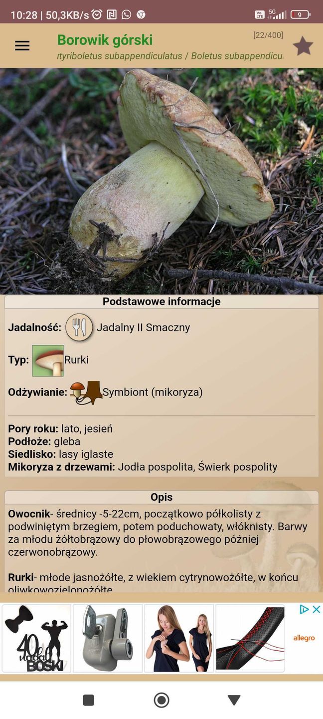 Atlas grzybów