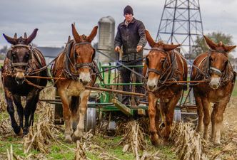 8,6 mld euro z UE dla polskiej wsi. KE zaakceptowała program operacyjny