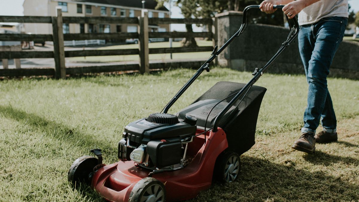 Kiedy wykonać ostatnie koszenie trawy przed zimą?