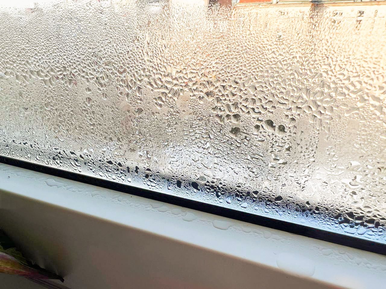 Shaving foam can help remove moisture accumulated on windows.