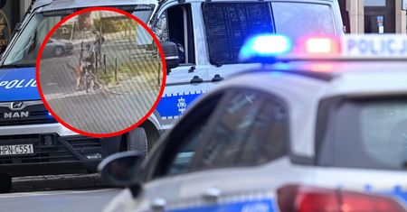Atak na przystanku. Wrocławska policja szuka świadków