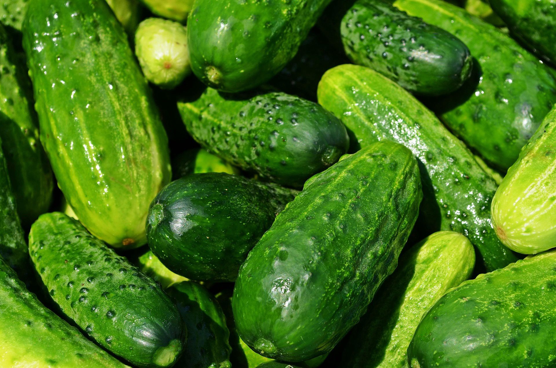 Ogórki
