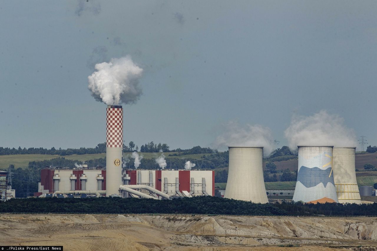 Piotr Müller o karach nałożonych na Polskę. Rząd "jest w stanie ponieść koszt"