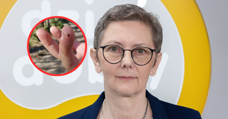 "Mistrzyni kamuflażu". Zakaźnik mówi, jak poznać boreliozę