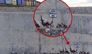 Poruszenie na wschodnim wybrzeżu. Anglicy czekają na potwierdzenie