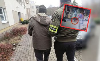 Potrącił pieszego i uciekł. 80-latek zatrzymany