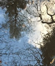 Maj w polskiej pogodzie