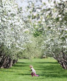 Kwiecień w polskiej pogodzie